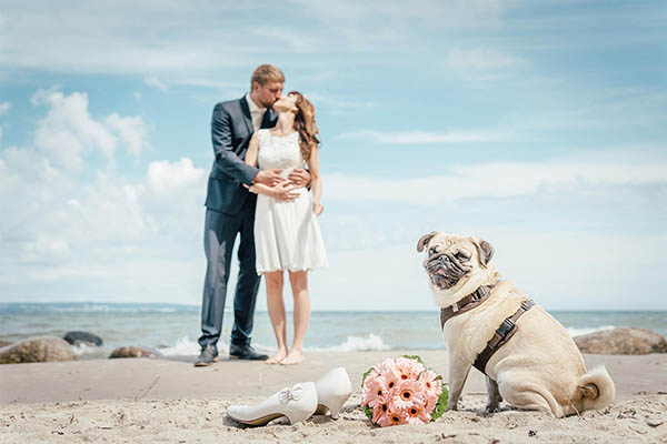 Hochzeitsfotograf Rügen