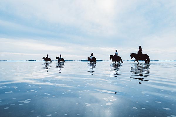 Wander-Reiten Rügen